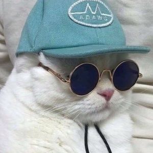 Meet your Posher, Mallory